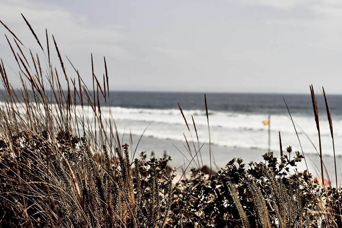 praia da caparica